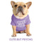 Summer/Spring Dog Clothes T-Shirt With Funny Sayings - Quality Breathable Pet Clothing with Soft Letters Printed - Perfect for Small Dogs